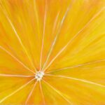 Das Bild zeigt gemalte Orangeninneres